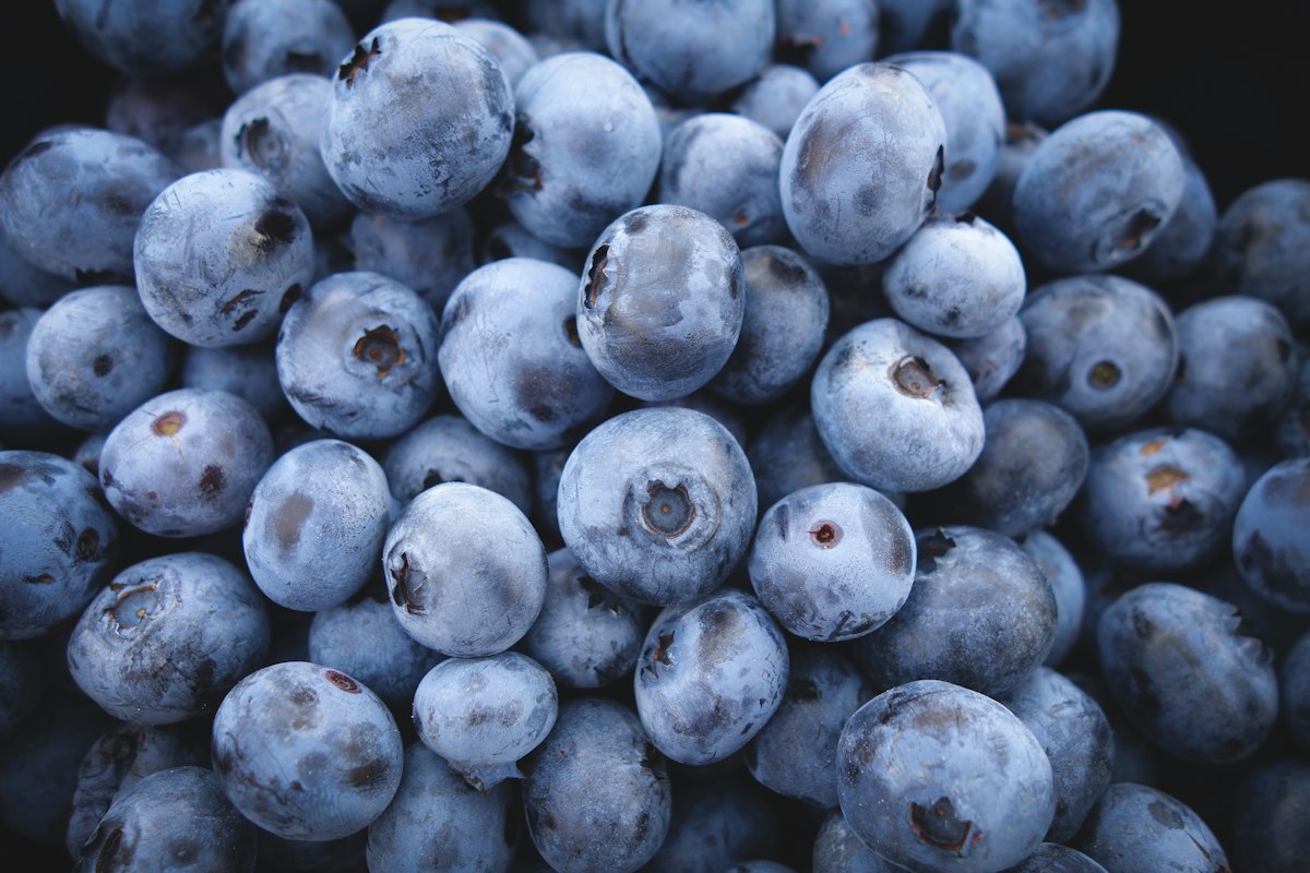 Healthy foods for eye nutrition